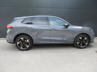 Cupra Terramar Gebrauchtwagen Cupra Terramar Gebrauchtwagen