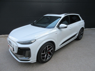 Audi Q6 e-tron Gebrauchtwagen