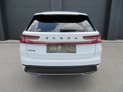 Skoda Kodiaq Gebrauchtwagen Skoda Kodiaq Gebrauchtwagen