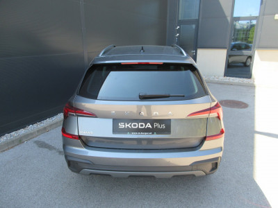 Skoda Kamiq Gebrauchtwagen Skoda Kamiq Gebrauchtwagen