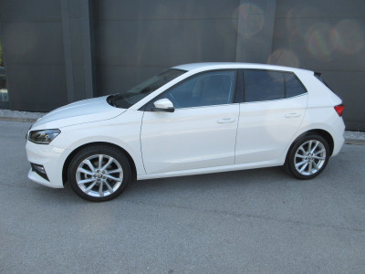 Skoda Fabia Gebrauchtwagen