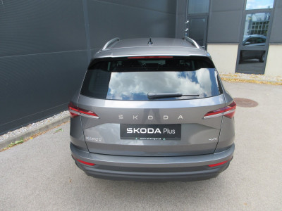Skoda Karoq Gebrauchtwagen Skoda Karoq Gebrauchtwagen