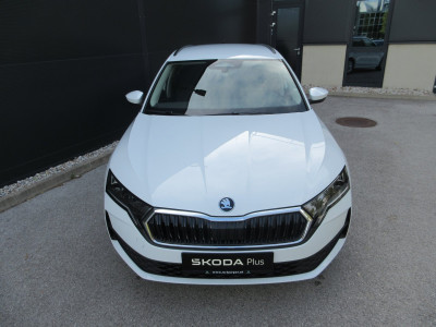 Skoda Octavia Gebrauchtwagen