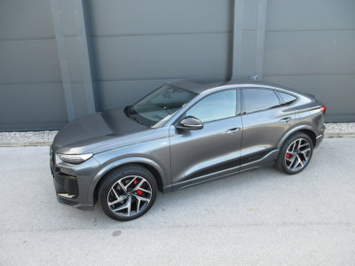 Audi Q6 e-tron Gebrauchtwagen