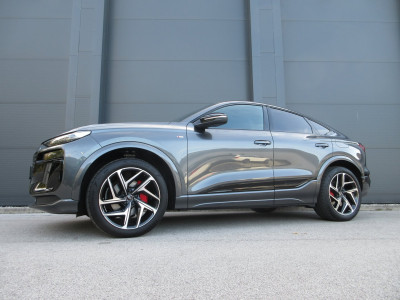 Audi Q6 e-tron Gebrauchtwagen