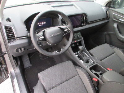 Skoda Karoq Gebrauchtwagen Skoda Karoq Gebrauchtwagen