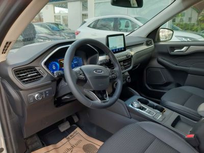 Ford Kuga Vorführwagen