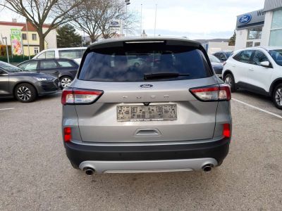 Ford Kuga Vorführwagen