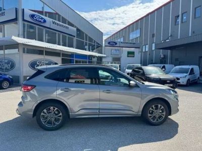 Ford Kuga Gebrauchtwagen