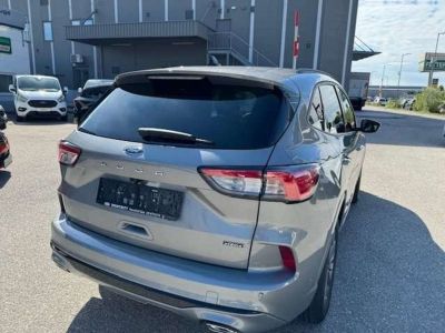 Ford Kuga Gebrauchtwagen