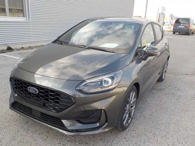 Ford Fiesta Tageszulassung