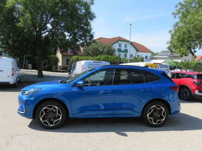 Ford Kuga Neuwagen