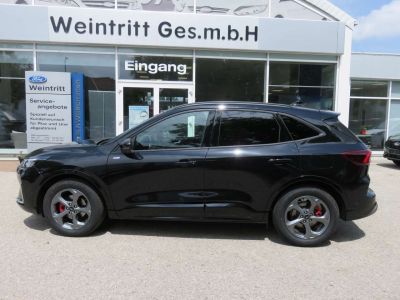 Ford Kuga Neuwagen