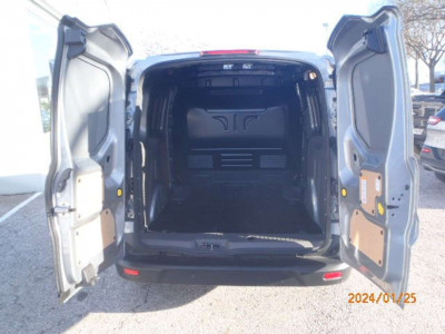 Ford Transit Connect Tageszulassung