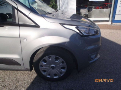 Ford Transit Connect Tageszulassung