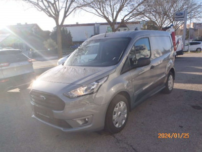 Ford Transit Connect Tageszulassung