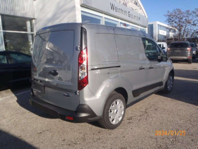 Ford Transit Connect Tageszulassung