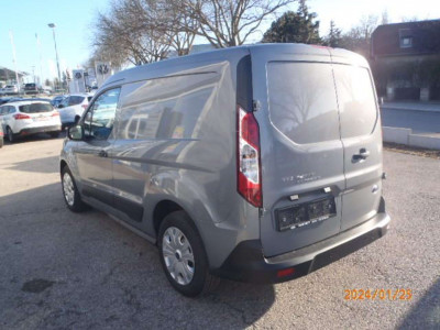 Ford Transit Connect Tageszulassung