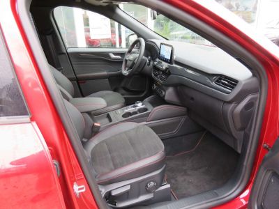 Ford Kuga Jahreswagen