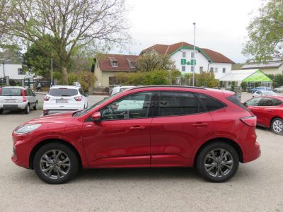 Ford Kuga Jahreswagen