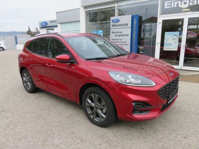 Ford Kuga Jahreswagen