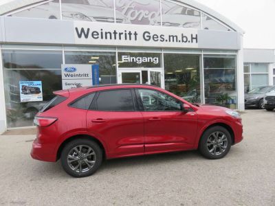 Ford Kuga Jahreswagen