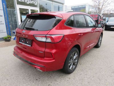 Ford Kuga Jahreswagen