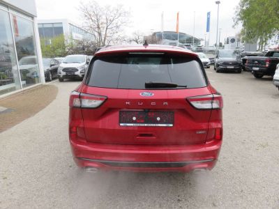 Ford Kuga Jahreswagen