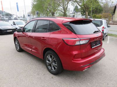 Ford Kuga Jahreswagen