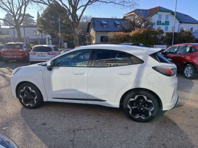 Ford Puma Neuwagen