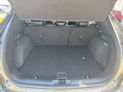 Ford Kuga Vorführwagen