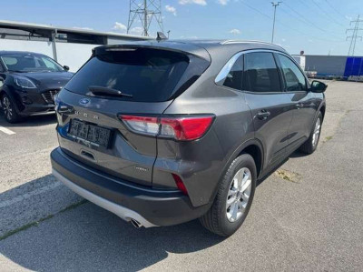 Ford Kuga Vorführwagen