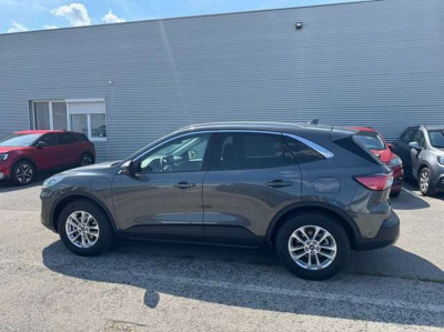 Ford Kuga Vorführwagen