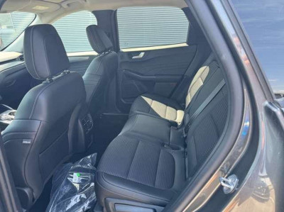 Ford Kuga Vorführwagen