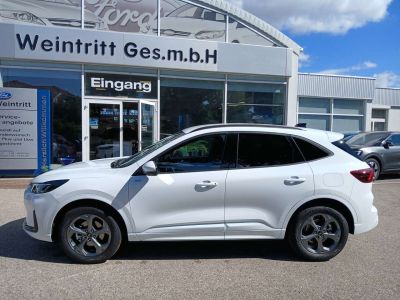Ford Kuga Neuwagen