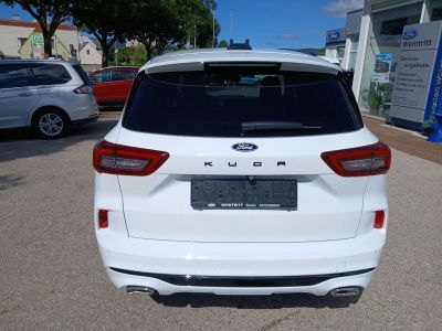 Ford Kuga Neuwagen