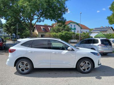 Ford Kuga Neuwagen