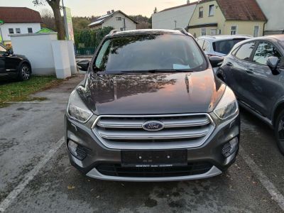 Ford Kuga Gebrauchtwagen