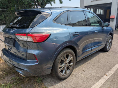 Ford Kuga Gebrauchtwagen Ford Kuga Gebrauchtwagen