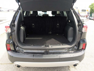 Ford Kuga Gebrauchtwagen Ford Kuga Gebrauchtwagen