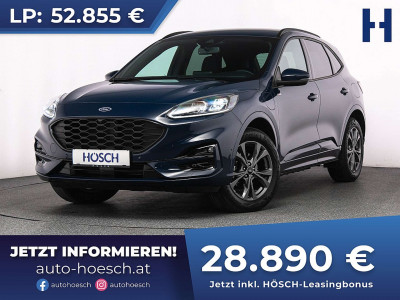 Ford Kuga Gebrauchtwagen