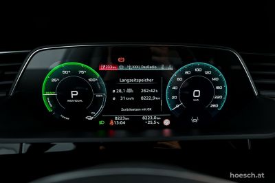 Audi Q8 e-tron Gebrauchtwagen