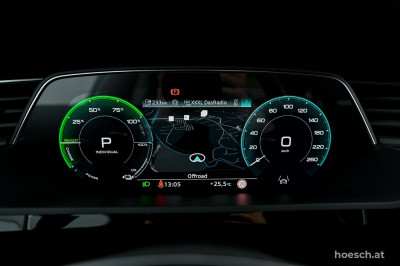 Audi Q8 e-tron Gebrauchtwagen