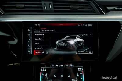 Audi Q8 e-tron Gebrauchtwagen