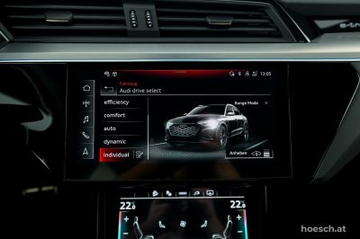 Audi Q8 e-tron Gebrauchtwagen