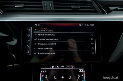 Audi Q8 e-tron Gebrauchtwagen