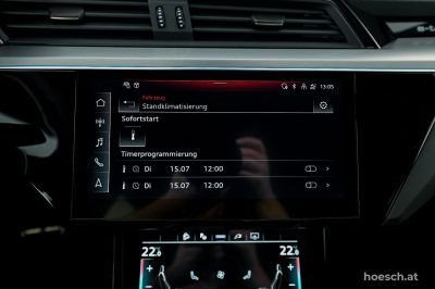 Audi Q8 e-tron Gebrauchtwagen