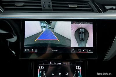 Audi Q8 e-tron Gebrauchtwagen