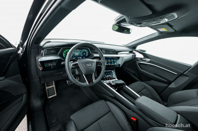 Audi Q8 e-tron Gebrauchtwagen
