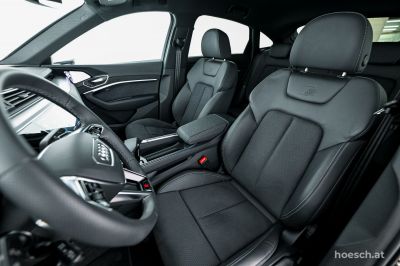 Audi Q8 e-tron Gebrauchtwagen